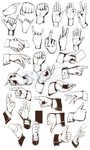 Vector Bàn Tay, Hands 1 (3)