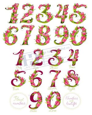 Vector Bảng Chữ Cái, Bảng Chữ Số, Alphabet, Number  (2)