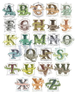 Vector Bảng Chữ Cái, Bảng Chữ Số, Alphabet, Number  (61)