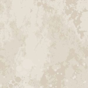 Vector Barber Shop, Hair Salon (125)