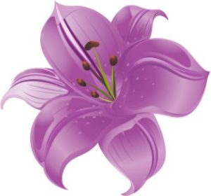 Vector Bông Hoa, Flower (10)