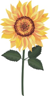 Vector Bông Hoa, Flower (16)