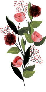 Vector Bông Hoa, Flower (34)