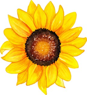 Vector Bông Hoa, Flower (4)