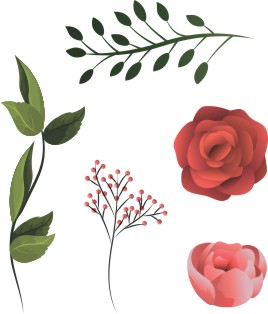 Vector Bông Hoa, Flower (41)