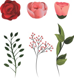 Vector Bông Hoa, Flower (45)