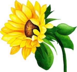 Vector Bông Hoa, Flower (5)