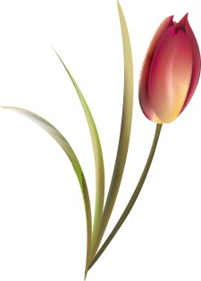 Vector Bông Hoa, Flower (51)