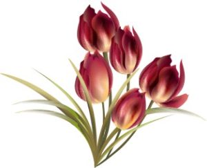 Vector Bông Hoa, Flower (52)