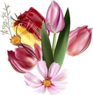 Vector Bông Hoa, Flower (56)