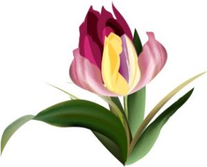 Vector Bông Hoa, Flower (57)