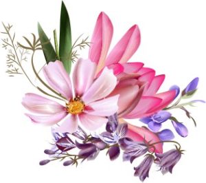 Vector Bông Hoa, Flower (58)