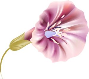 Vector Bông Hoa, Flower (59)