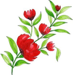 Vector Bông Hoa, Flower (6)