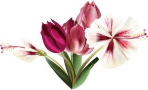 Vector Bông Hoa, Flower (60)