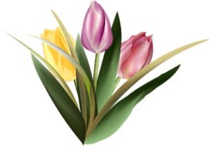 Vector Bông Hoa, Flower (61)