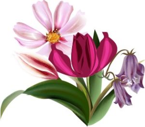 Vector Bông Hoa, Flower (62)