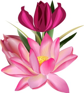 Vector Bông Hoa, Flower (63)