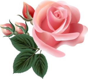 Vector Bông Hoa, Flower (65)