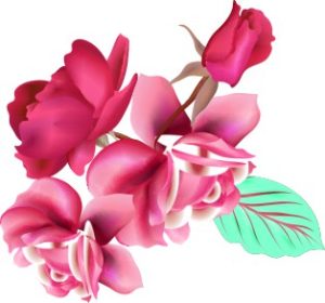 Vector Bông Hoa, Flower (67)