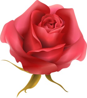 Vector Bông Hoa, Flower (68)