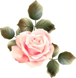 Vector Bông Hoa, Flower (69)