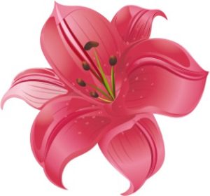 Vector Bông Hoa, Flower (7)