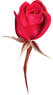 Vector Bông Hoa, Flower (70)