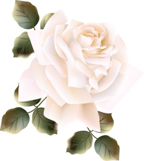 Vector Bông Hoa, Flower (72)