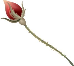 Vector Bông Hoa, Flower (73)