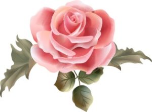 Vector Bông Hoa, Flower (74)