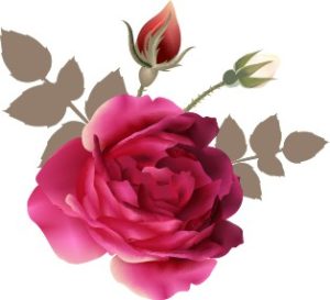 Vector Bông Hoa, Flower (75)