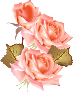 Vector Bông Hoa, Flower (76)