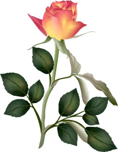 Vector Bông Hoa, Flower (78)