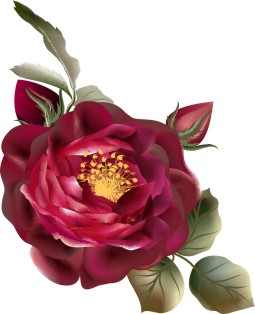 Vector Bông Hoa, Flower (80)