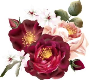 Vector Bông Hoa, Flower (81)