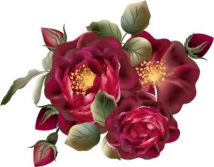 Vector Bông Hoa, Flower (82)