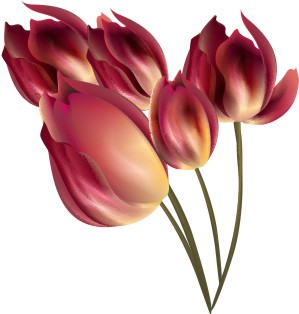 Vector Bông Hoa, Flower (84)