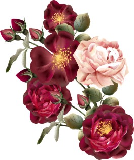 Vector Bông Hoa, Flower (85)