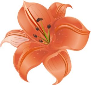 Vector Bông Hoa, Flower (9)