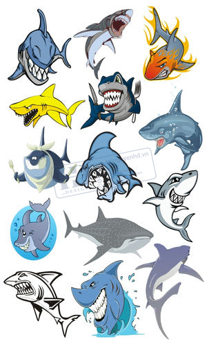 Vector Cá Mập, Shark