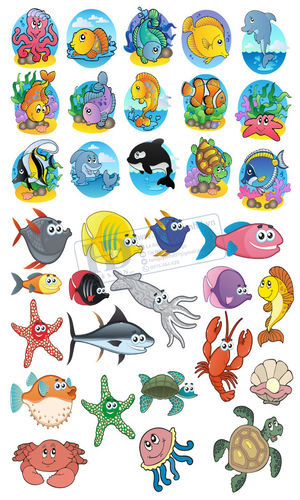 Vector Con Cá, Cá Biển