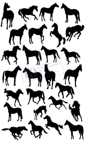 Vector Con Ngựa Trắng Đen, Horse Black