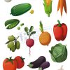 Vector Hoa Quả