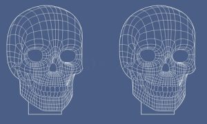 Vector Họa Tiết Khắc Laser, CNC  4 (49)