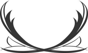 Vector Hoa Văn, Hoa Góc, Đường Viền (220)