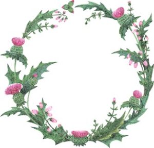 Vector Khung Viền Hoa, Khung Hoa Văn (25)