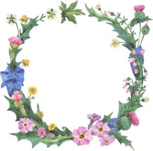 Vector Khung Viền Hoa, Khung Hoa Văn (28)