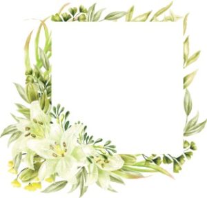 Vector Khung Viền Hoa, Khung Hoa Văn (29)