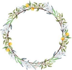 Vector Khung Viền Hoa, Khung Hoa Văn (35)